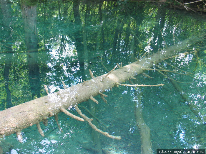 плитвицкие озера Национальный парк Плитвицкие озёра, Хорватия