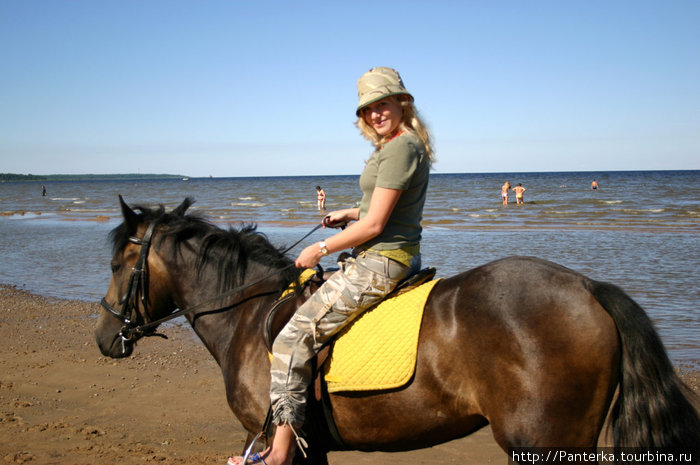 ...покататься на лошадках... Всеволожск, Россия