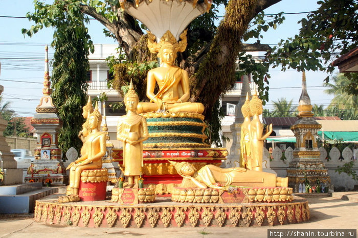 Будды под деревом Бодхи Вьентьян, Лаос