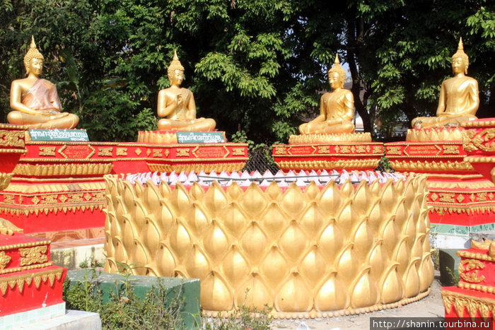 Лотос и Будды Вьентьян, Лаос