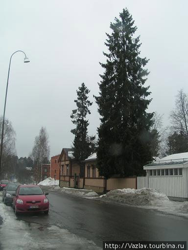 Деревья посажены везде, где только можно Миккели, Финляндия