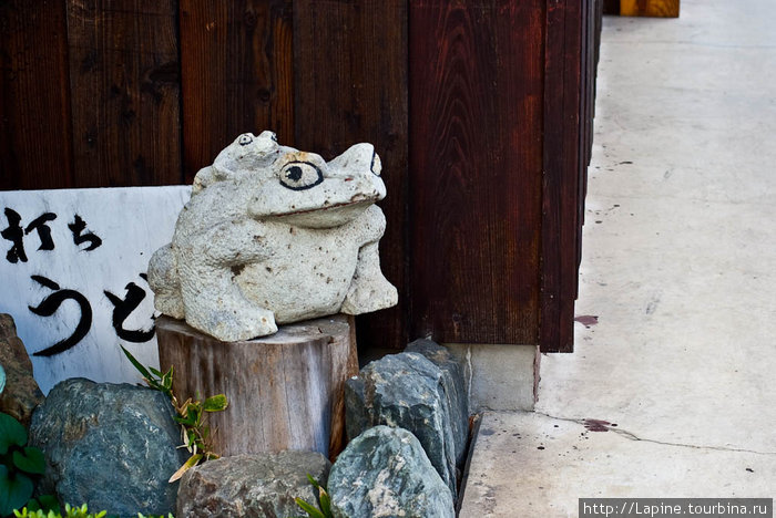 Каменные лягушки Никко, Япония