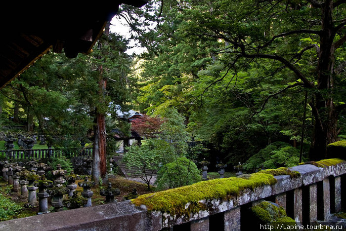 Тайю-ин-бё: мох и торо Никко, Япония