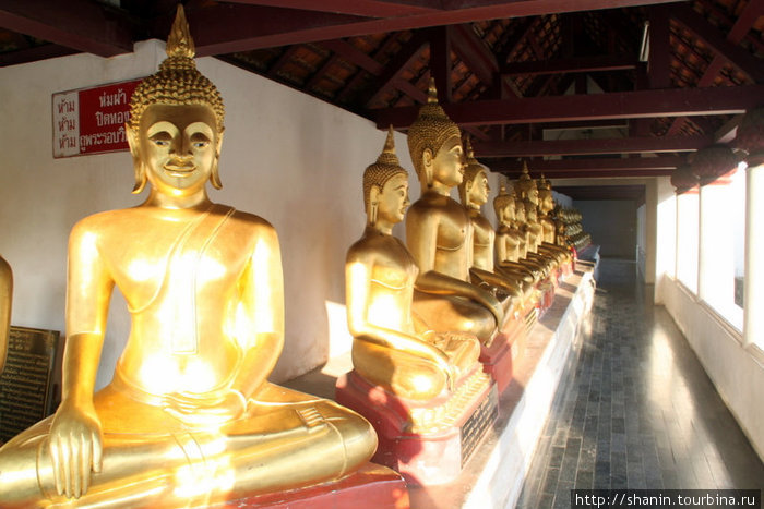 Будды в коридоре — небольшие, но много Пхитсанулок, Таиланд