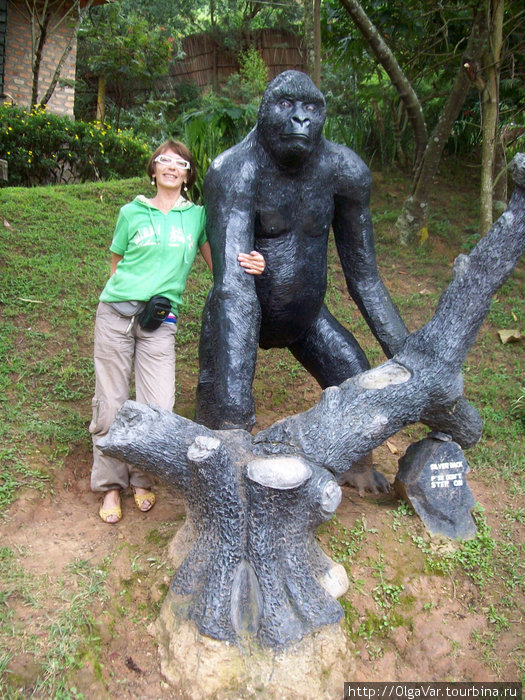 Вдвоем с Серебряной Спиной Бвинди Национальный Парк, Уганда