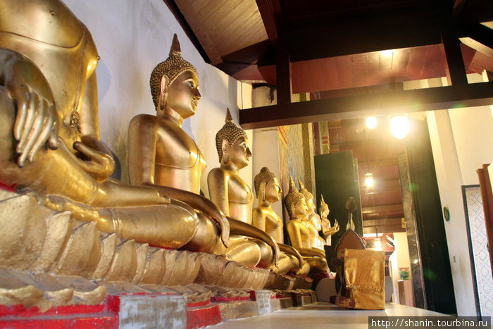 Будды в монастыре Ват Яй (Wat Yai, полное название – ват Пхра-Си-Ратана-Махатхат) Пхитсанулок, Таиланд