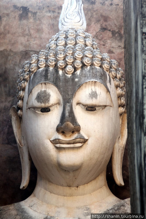 Голова Будды в монастыре Сонгкрам Сукхотай, Таиланд