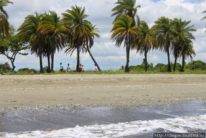 Волны и колышишиеся на ветру пальмы Фиджи