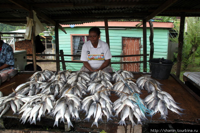 Свежая рыба на придорожном рынке Остров Вити-Леву, Фиджи