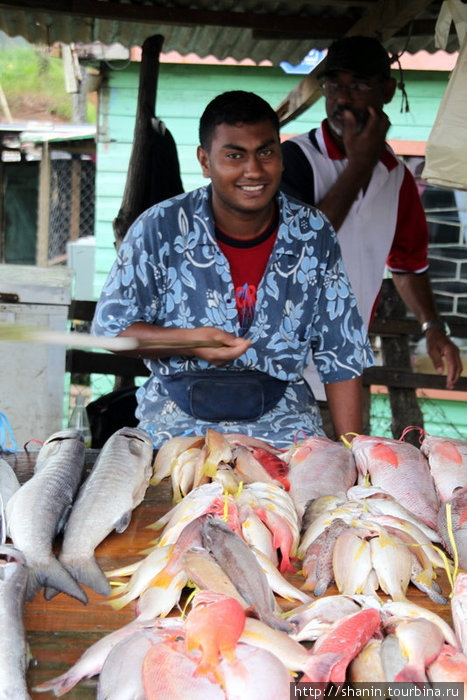 Торговец рыбой Остров Вити-Леву, Фиджи