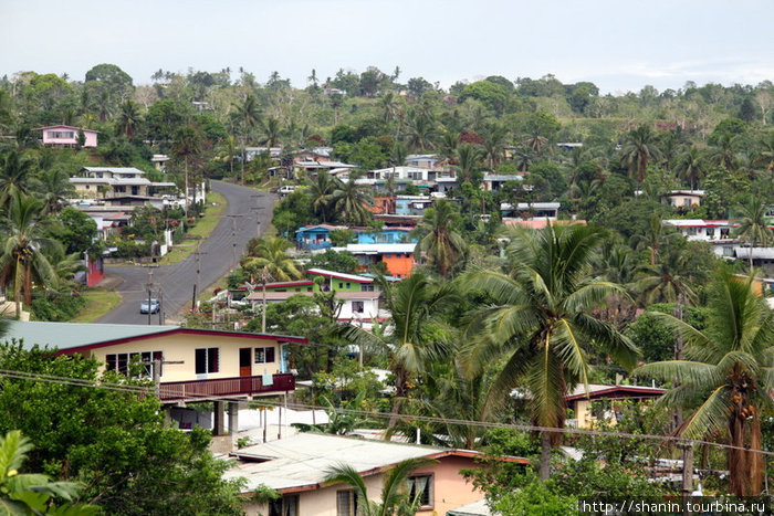 Дома и пальмы Остров Вити-Леву, Фиджи