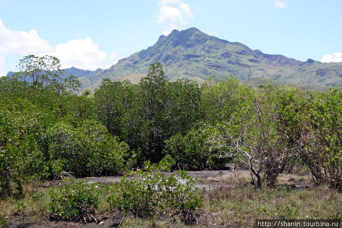 Мангровые заросли на берегу, горы — чуть подальше Остров Вити-Леву, Фиджи