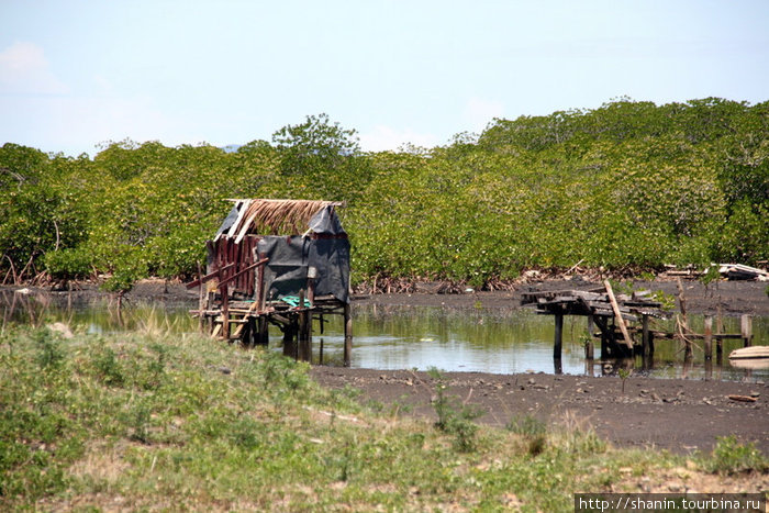 Сарайчики на берегу лагуны с мангровыми зарослями Остров Вити-Леву, Фиджи