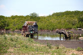 Сарайчики на берегу лагуны с мангровыми зарослями