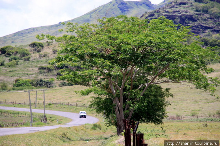 Дорога между Раки-раки на Тавуа Остров Вити-Леву, Фиджи