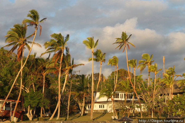 В тени под пальмами Остров Вити-Леву, Фиджи