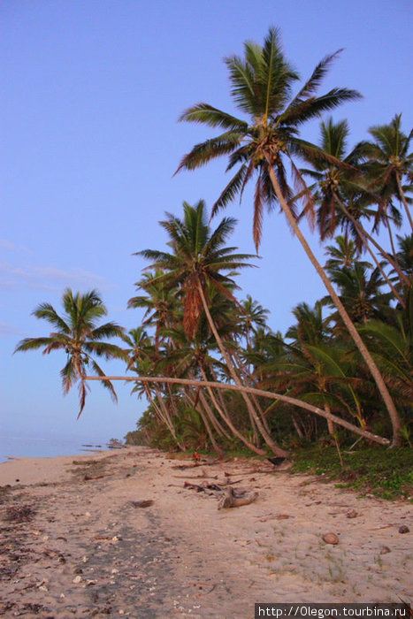 Линия белого песка уходит далеко вдаль Остров Вити-Леву, Фиджи