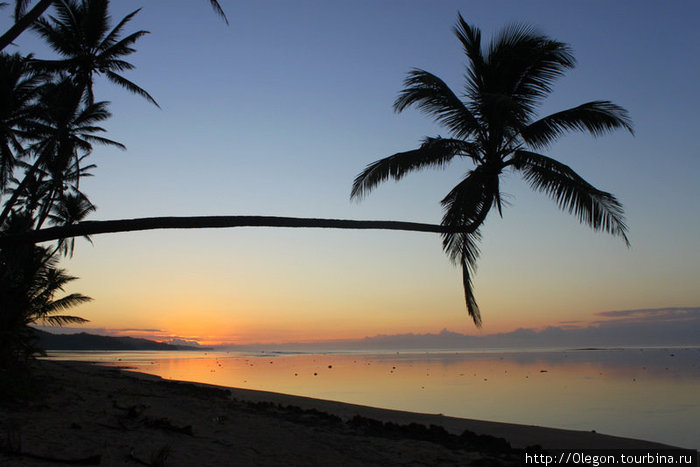 Рассвет и кривая пальма Остров Вити-Леву, Фиджи