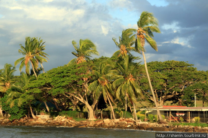 Пальмы перед закатом Нанди, остров Вити-Леву, Фиджи