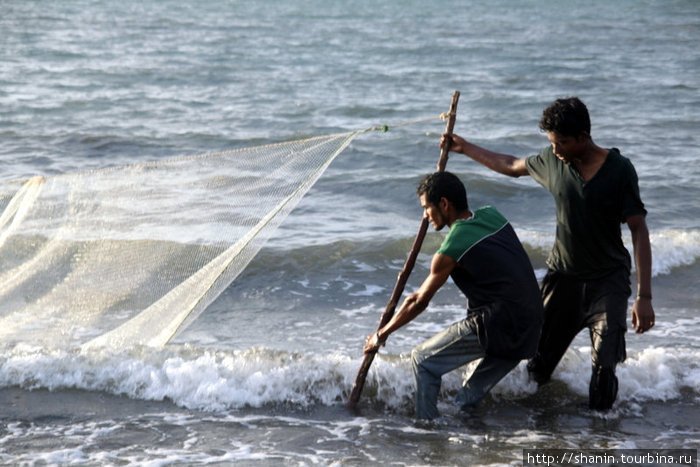 Рыбаки побросали удочки и взяли в руки сети