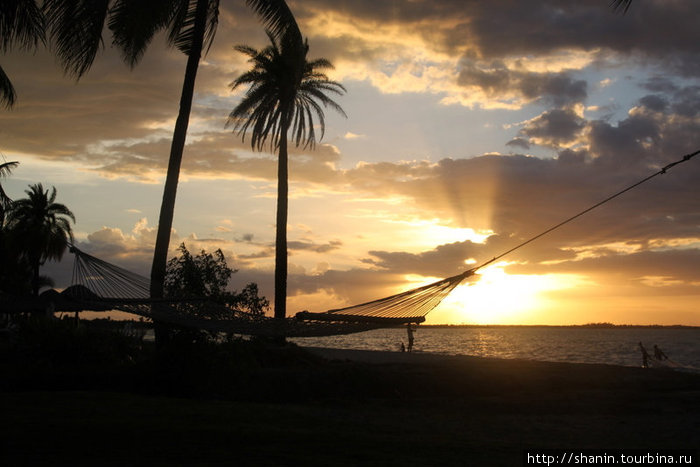 Гамак и пальмы на закате Нанди, остров Вити-Леву, Фиджи