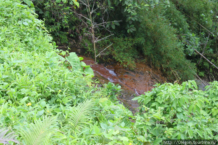 Вода проходит через зелёные заросли Остров Вити-Леву, Фиджи