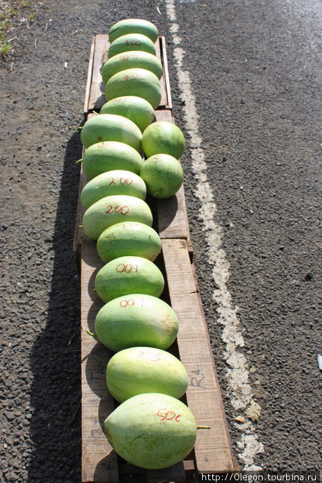 Арбузы на дороге- по 50 центов, по одному и по два Остров Вити-Леву, Фиджи