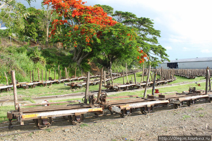 Вагонетки для перевоза сахарного тростника- Лаутоку называют Сахарным городом Остров Вити-Леву, Фиджи