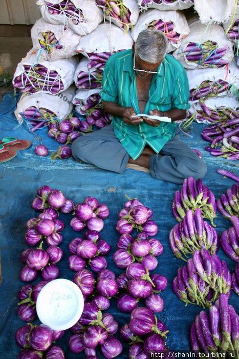 Фиолетовый лук и фиолетовые баклажаны Нанди, остров Вити-Леву, Фиджи
