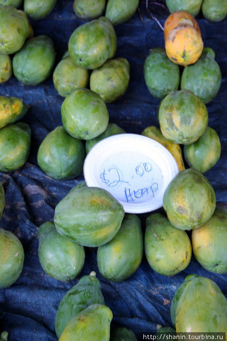 Зеленые манго Нанди, остров Вити-Леву, Фиджи