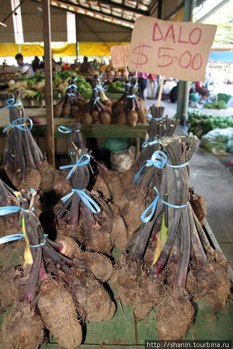 Клубни сладкого картофеля Нанди, остров Вити-Леву, Фиджи