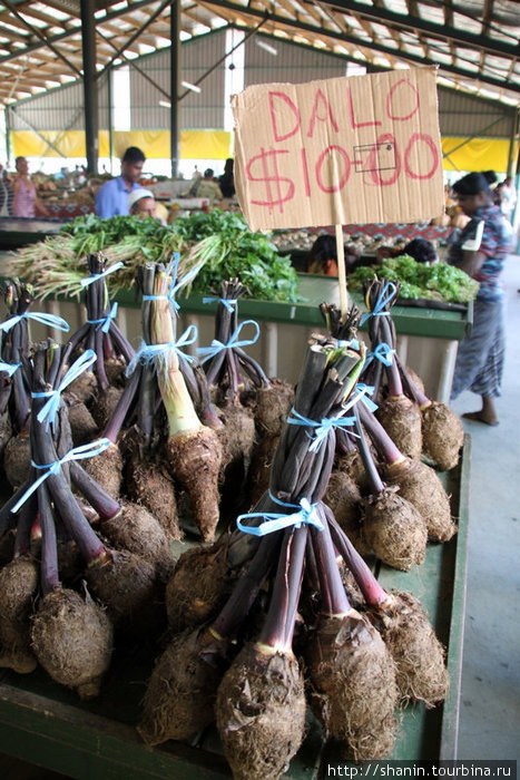 Дало — местное название сладкого картофеля Нанди, остров Вити-Леву, Фиджи