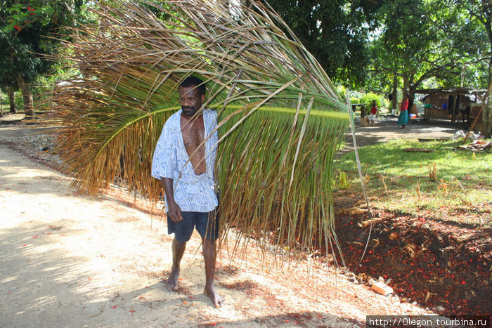 Пальмовые ветки пригодятся в строительстве крыши дома Вануату