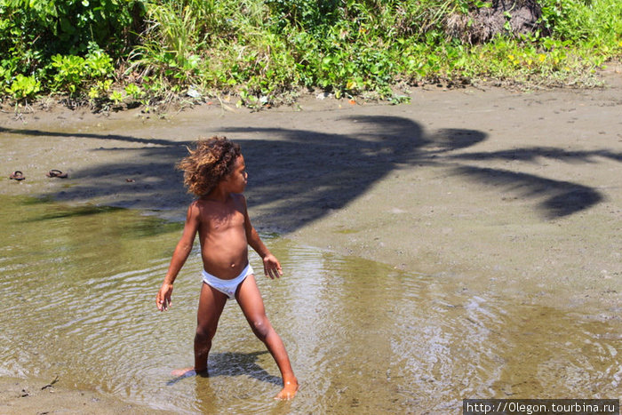 Танец молодого Вануатца под пальмой Вануату