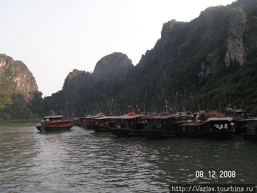 Стоянка корабликов у острова Халонг бухта, Вьетнам