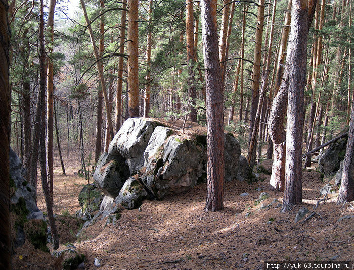 Сосны и камни Самарская область, Россия