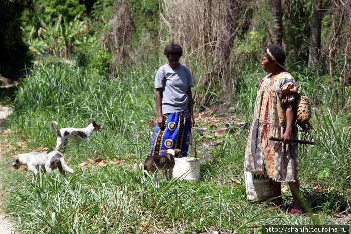 Женщины с собаками Остров Эфате, Вануату