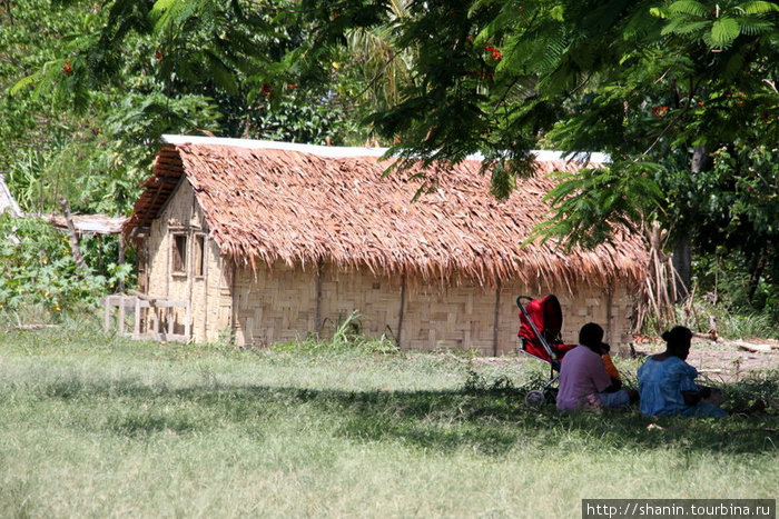 Дом с тростниковой крышей и плетеными стенами Остров Эфате, Вануату
