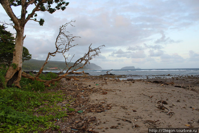 С океана на берег принесло много мусора Самоа