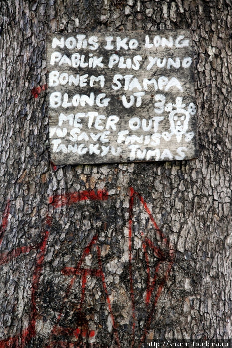 Табличка на дереве. Что именно написано, непонятно. Порт-Вила, Вануату