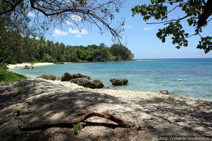 Вид из прибрежных зарослей Остров Эфате, Вануату