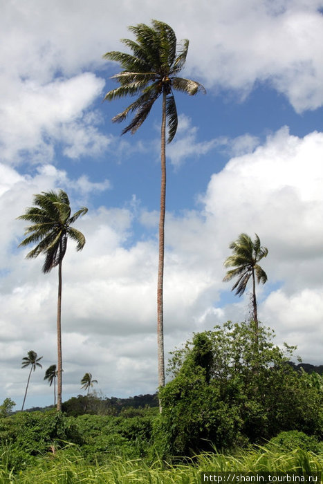 По берегу моря от Порт-Вила до Этапа Этон, Вануату