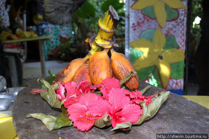 Композиция: бананы и цветы Порт-Вила, Вануату