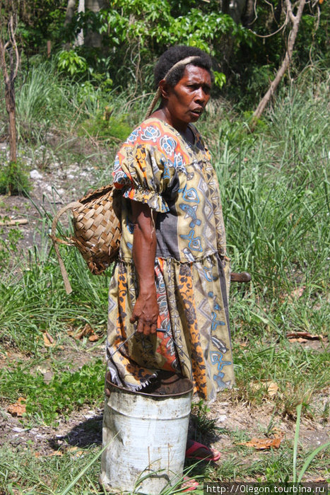 Собирают урожай вёдрами Остров Эфате, Вануату