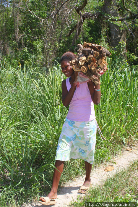 Откуда дровишки- из лесу вестимо Остров Эфате, Вануату