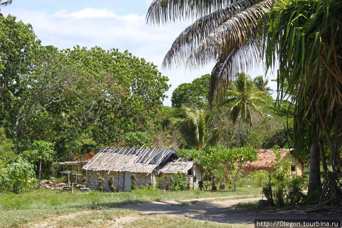 Почти наша деревня, только вокруг пальмы, кокосы, экзотические фрукты и почему то всё время тепло... Остров Эфате, Вануату