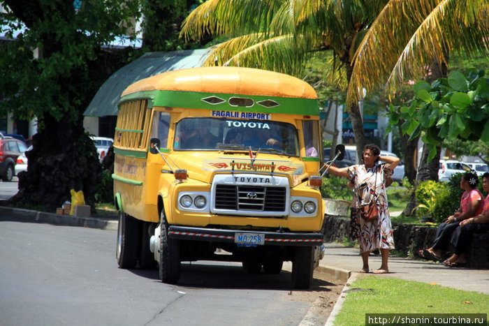 Городской автобус Апиа, Самоа