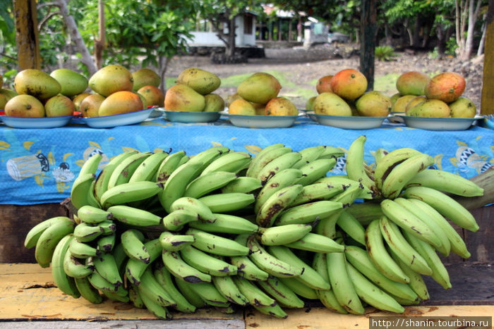Манго и бананы в придорожном киоске Остров Савайи, Самоа