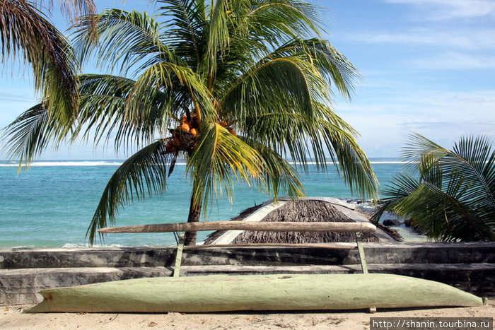 Лодка под кокосовой пальмой Остров Савайи, Самоа