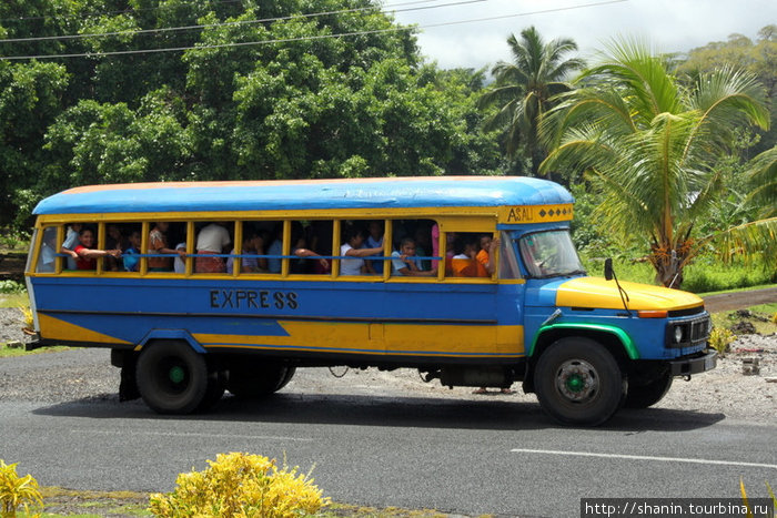 Автобус Остров Савайи, Самоа